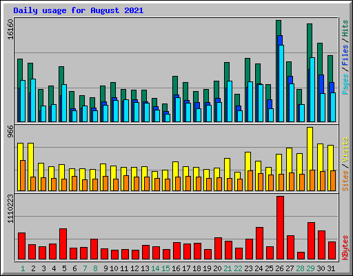 Daily usage for August 2021