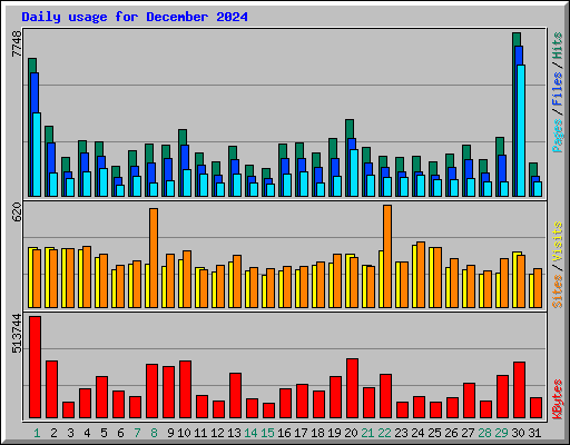 Daily usage for December 2024