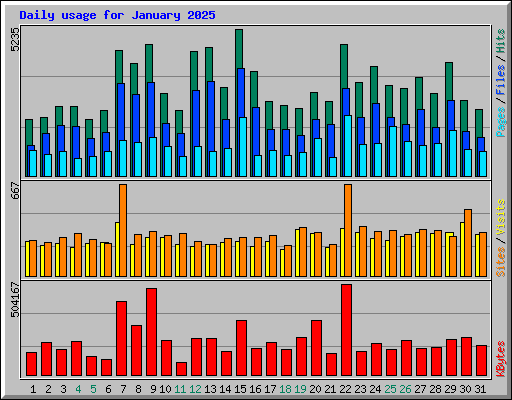 Daily usage for January 2025
