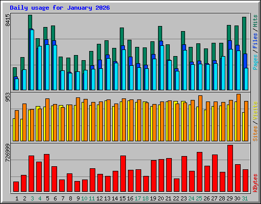 Daily usage for January 2026