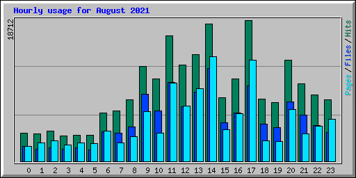 Hourly usage for August 2021