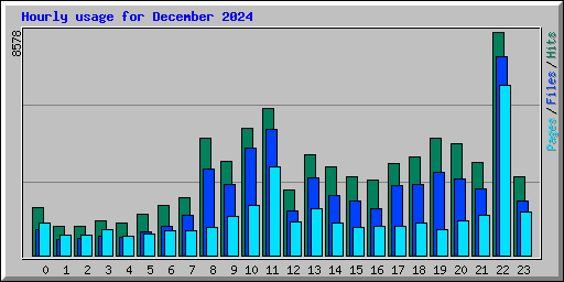Hourly usage for December 2024