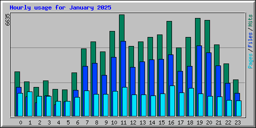 Hourly usage for January 2025