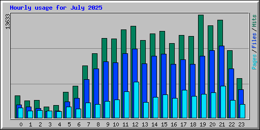 Hourly usage for July 2025