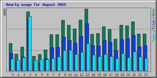 Hourly usage for August 2025