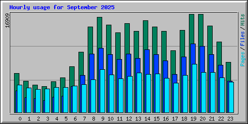 Hourly usage for September 2025