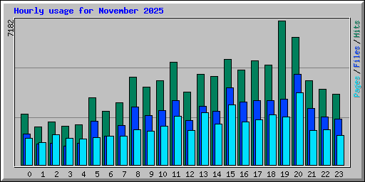 Hourly usage for November 2025