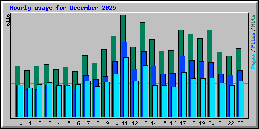 Hourly usage for December 2025