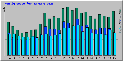 Hourly usage for January 2026