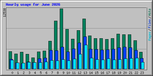 Hourly usage for June 2026