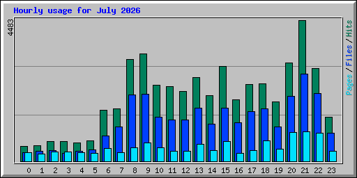 Hourly usage for July 2026