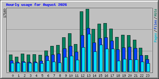 Hourly usage for August 2026
